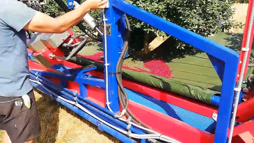 Berba višanja sa strojem za berbu